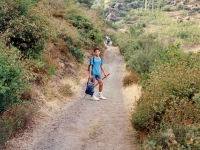 DE9310241