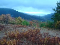 DSC07802