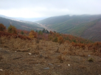 DSC07805