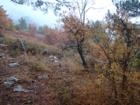 DSC07810