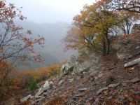 DSC07816