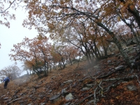 DSC07817