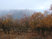 DSC07820