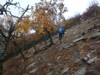 DSC07821