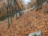 DSC07827