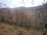 DSC07834