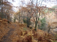 DSC07839