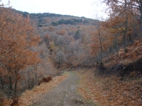 DSC07842
