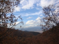 DSC07843