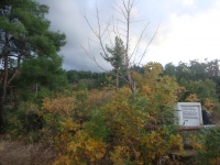 DSC07848