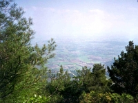 EM94513