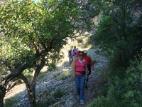 DSC07702