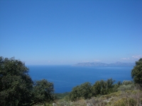 DSC07711