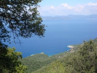 DSC07722