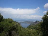 DSC07736