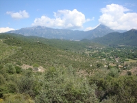 DSC07742