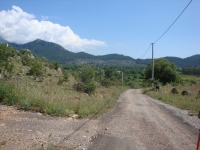 DSC07746