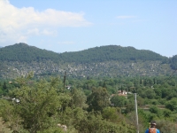 DSC07747