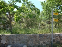 DSC07749
