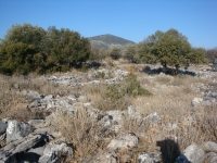 DSC07990