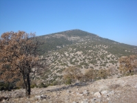 DSC07991