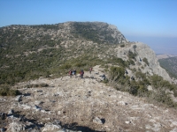 DSC08003