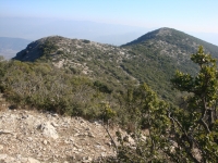 DSC08006