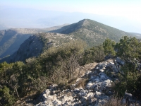 DSC08008