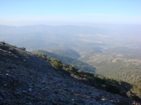 DSC08015