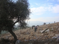 DSC08021