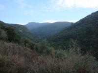 DSC08026