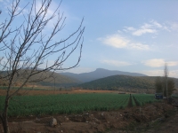 DSC08030