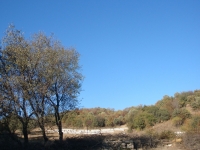 DSC07754