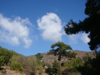 DSC07760