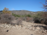 DSC07767