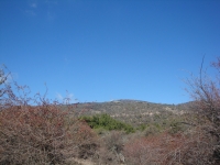DSC07769