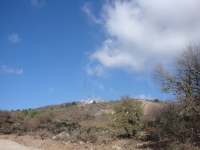 DSC07771