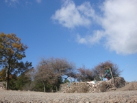DSC07772