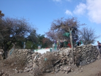 DSC07774