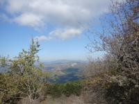 DSC07776