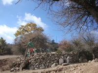 DSC07778
