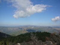 DSC07779