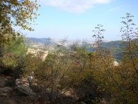 DSC07781