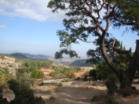 DSC07783