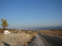 DSC07786