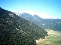 KIZ01060914