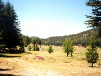 KIZ01060916