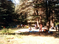 KIZ01060917