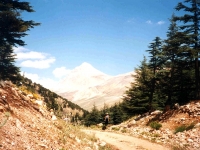 KIZ01060924