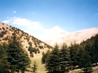 KIZ01060925